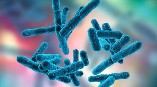 Illustration of various bacteria associated with gut health