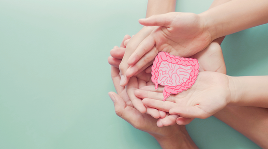 The Effectiveness of Bravo Probiotics