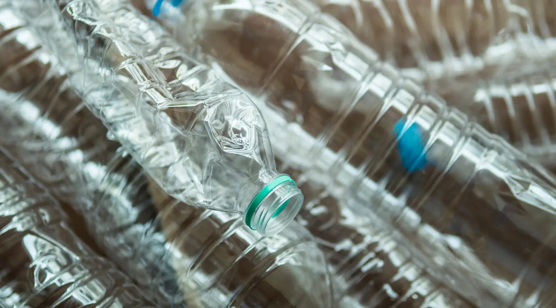 Bravo vs. Microplastic Particles: A Solution for Cardiovascular Health ...