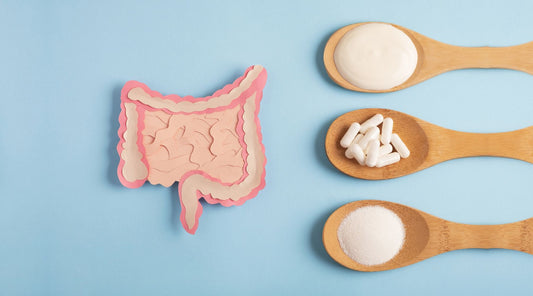 Gut health and supplements