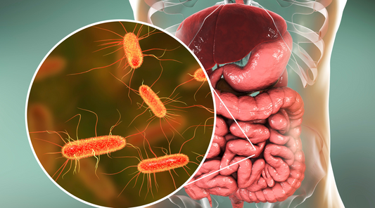 Gut microbiome