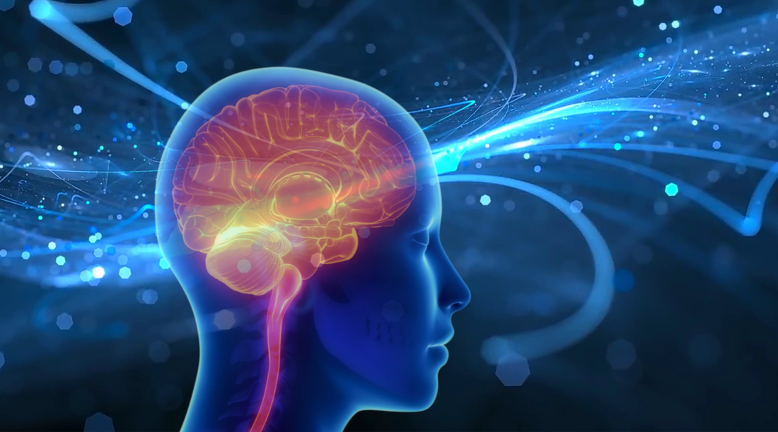 Brain and science