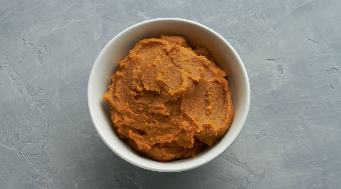 What Miso Paste Can Teach Us About Supporting Digestive Balance and Wellness