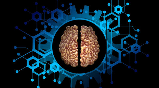 Gut health and it's connection to brain health
