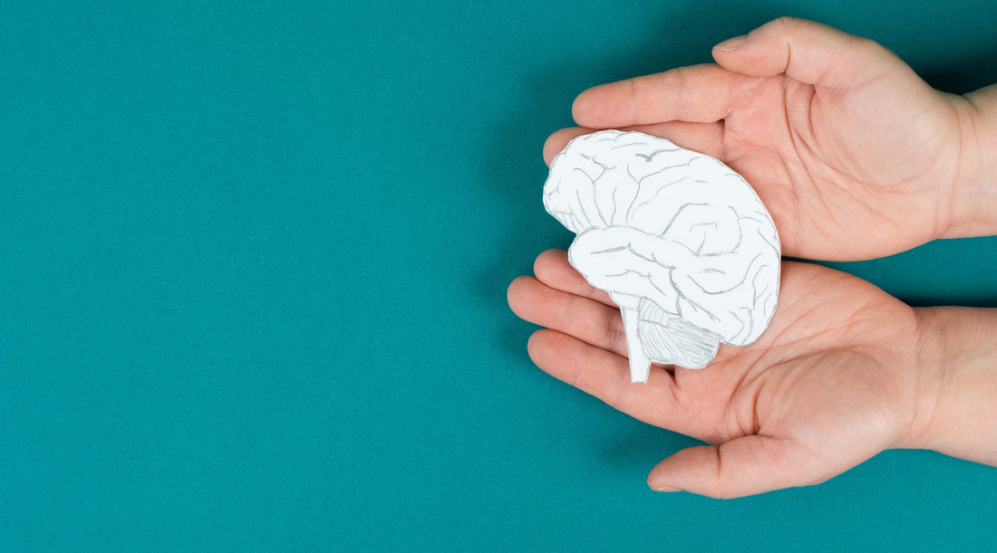 Brain image in hands representing Parkinson's Onset
