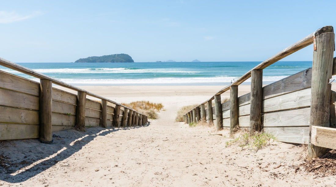 Summer Wellness Boost: Support Your Gut and Vitality with Bravo