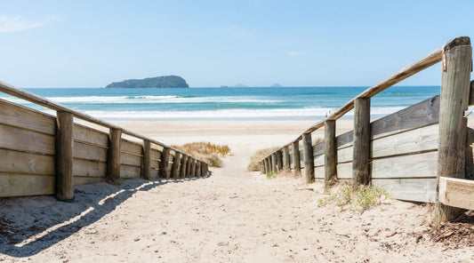 Summer Wellness Boost: Support Your Gut and Vitality with Bravo