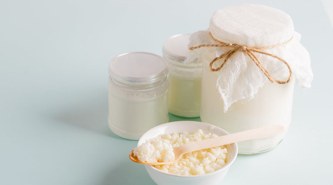 Science of fermented milk